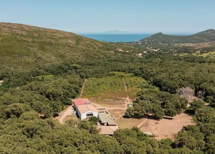 Domaine De Murticcia 