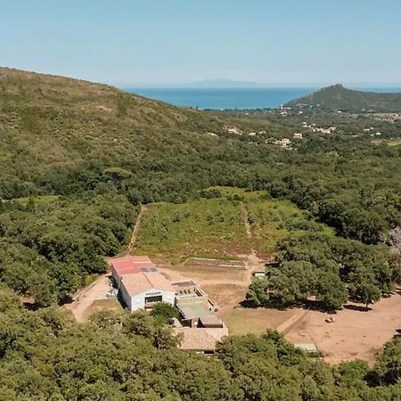 Domaine De Murticcia 