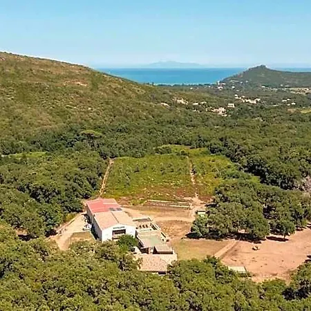 Domaine De Murticcia 